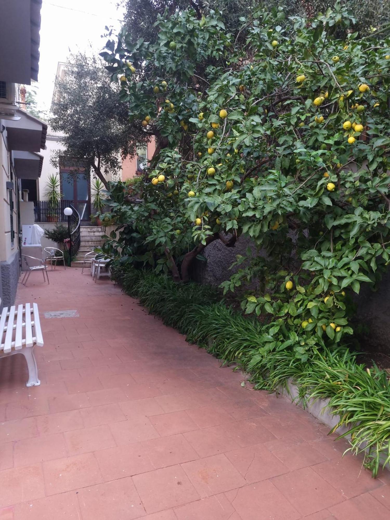 La Casetta Di Oppi Napoli Dış mekan fotoğraf